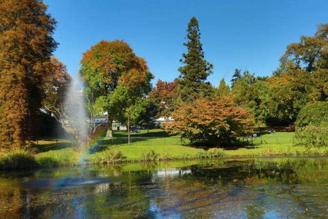 Les Cocons Botanique Daire Liège Dış mekan fotoğraf